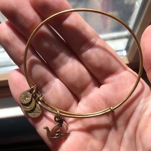 3/$12 Dove Alex and Ani Bangle